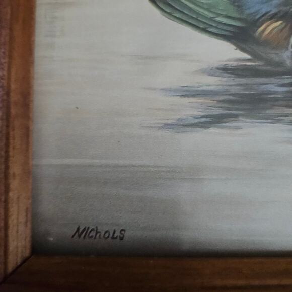 Pair Framed Duck Prints by Nichols – Wood Ducks & Pintails Waterfowl Art 10x12 - Picture 3 of 7